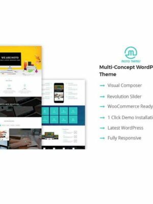 Websolutions - Wordpress Theme